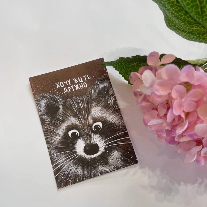 Открытка к букету "Енотик" в Королёве