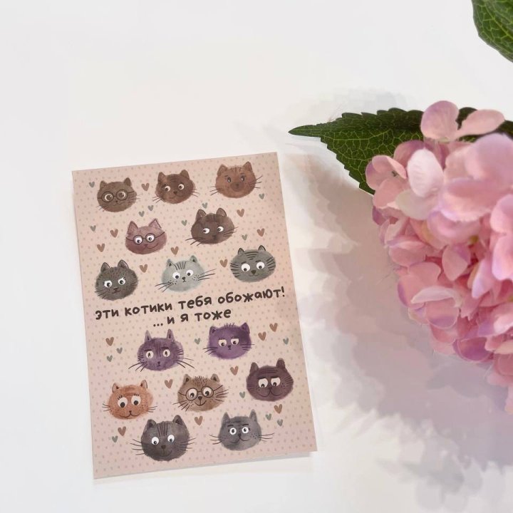 Открытка к букету "Котики" в Королёве