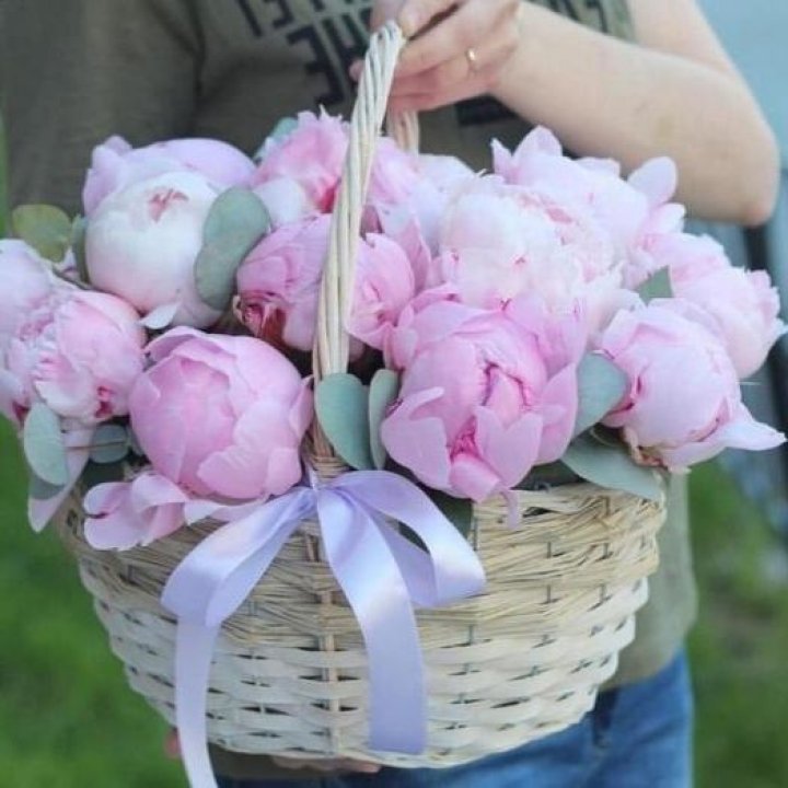 15 пионов в корзине в Королёве