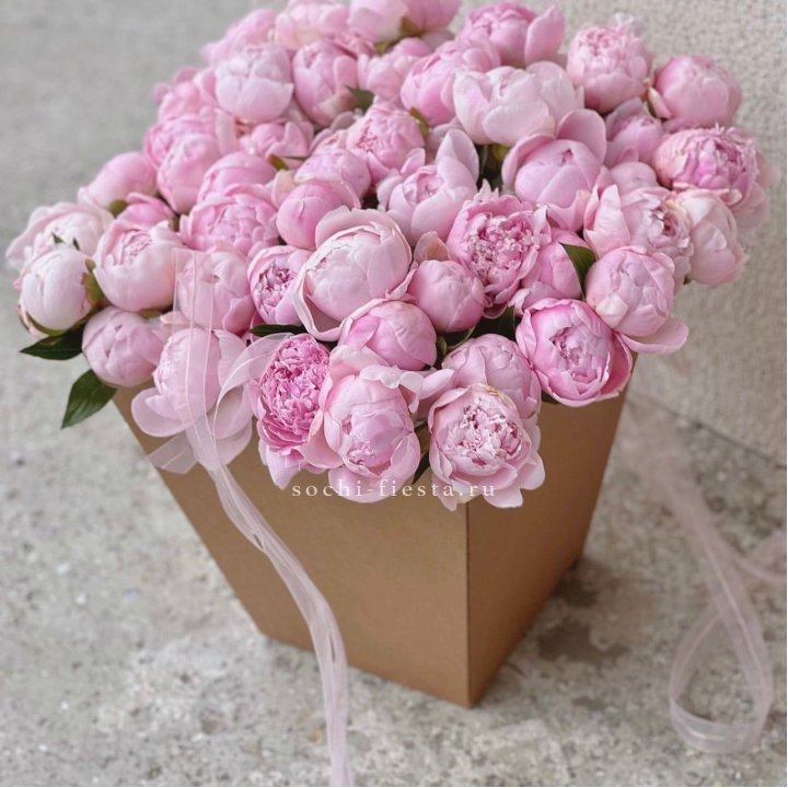 49 пионов в крафт коробке в Королёве