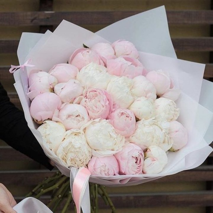 29 пионов в Королёве