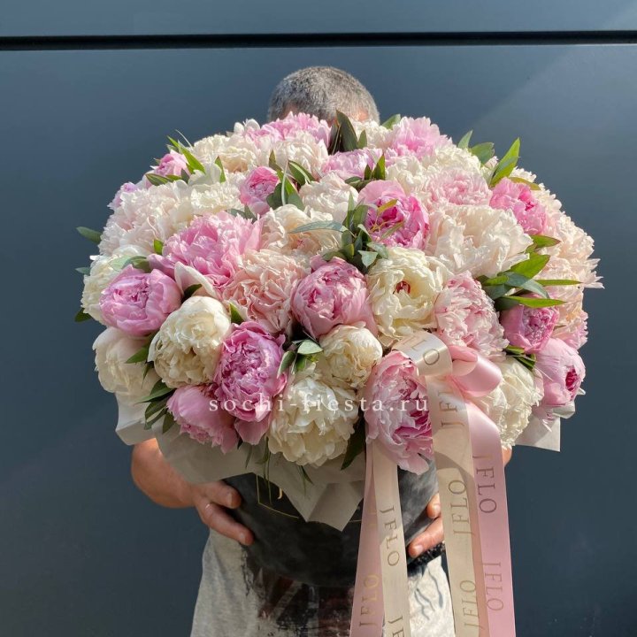 51 пионов в боксе в Королёве