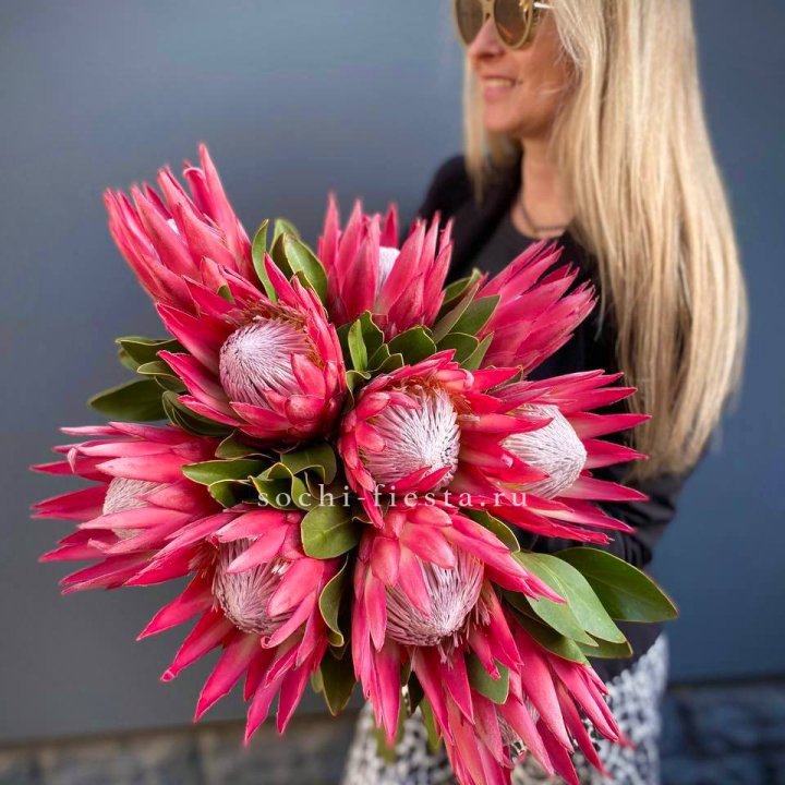Протея штучно в Королёве
