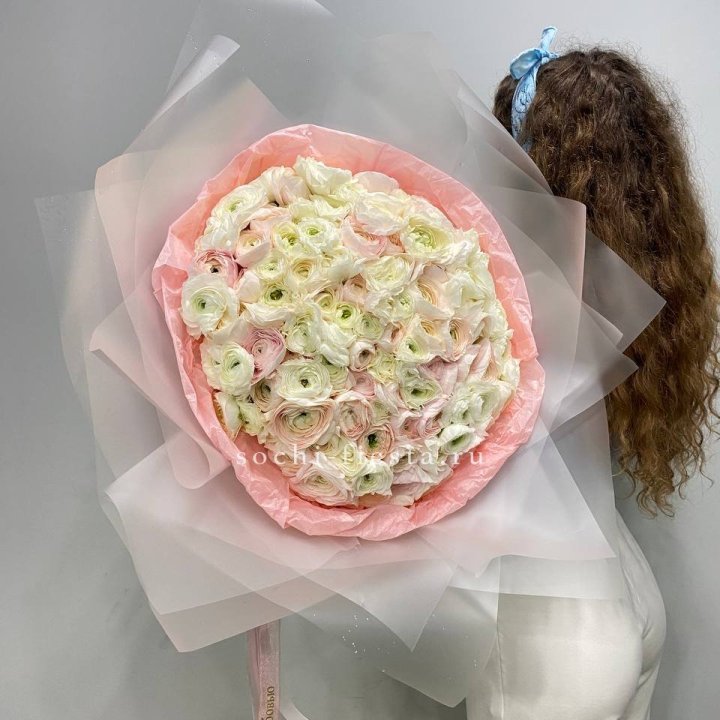 113 ранункулюсов  в Королёве