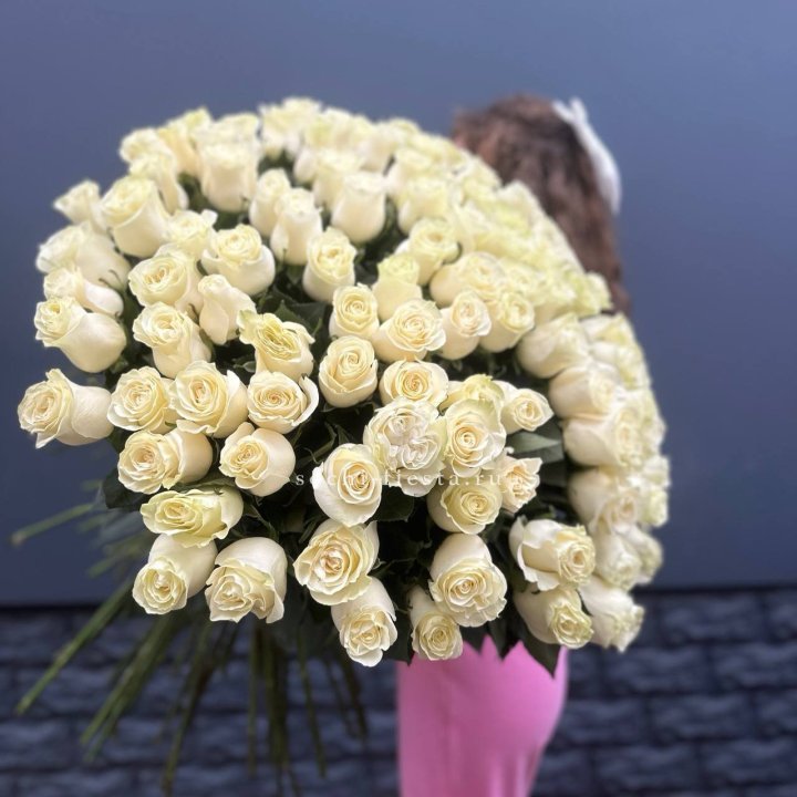 101 белая высокая импортная роза под ленту в Королёве