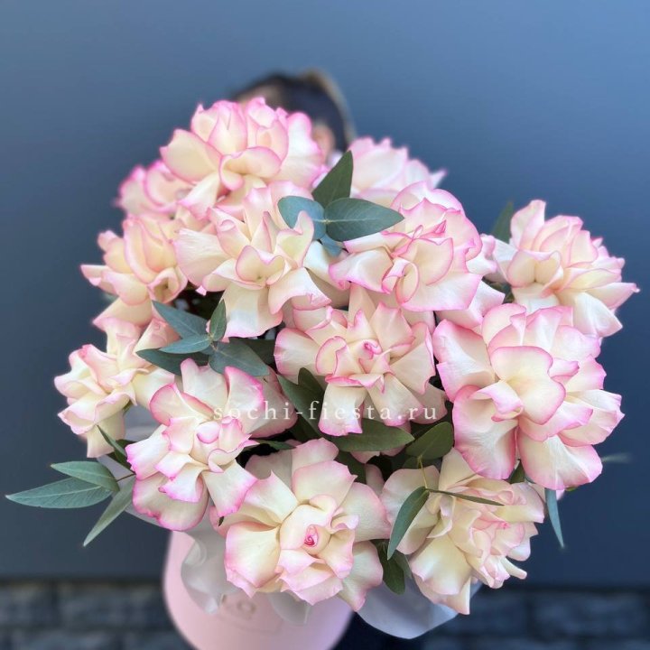 15 Французских роз Джумилия в боксе в Королёве