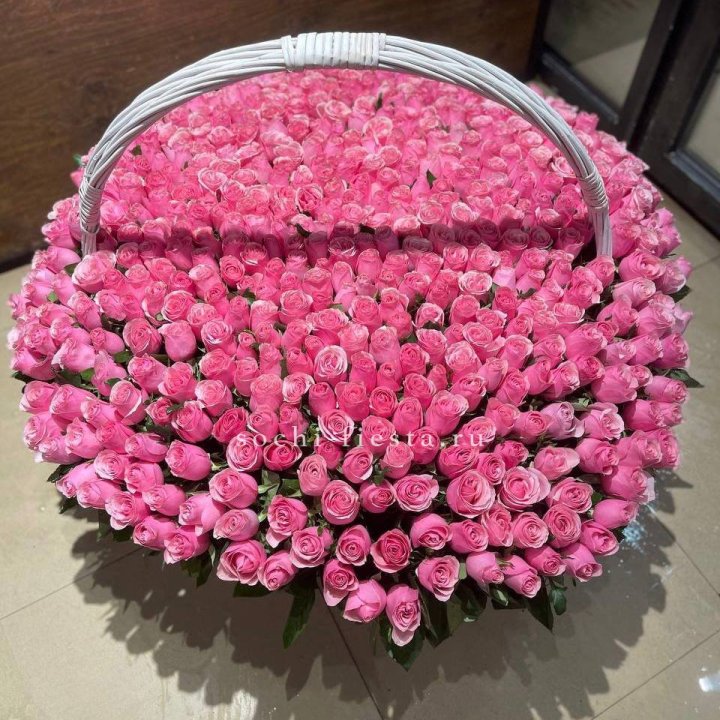 501 розовая роза в Королёве