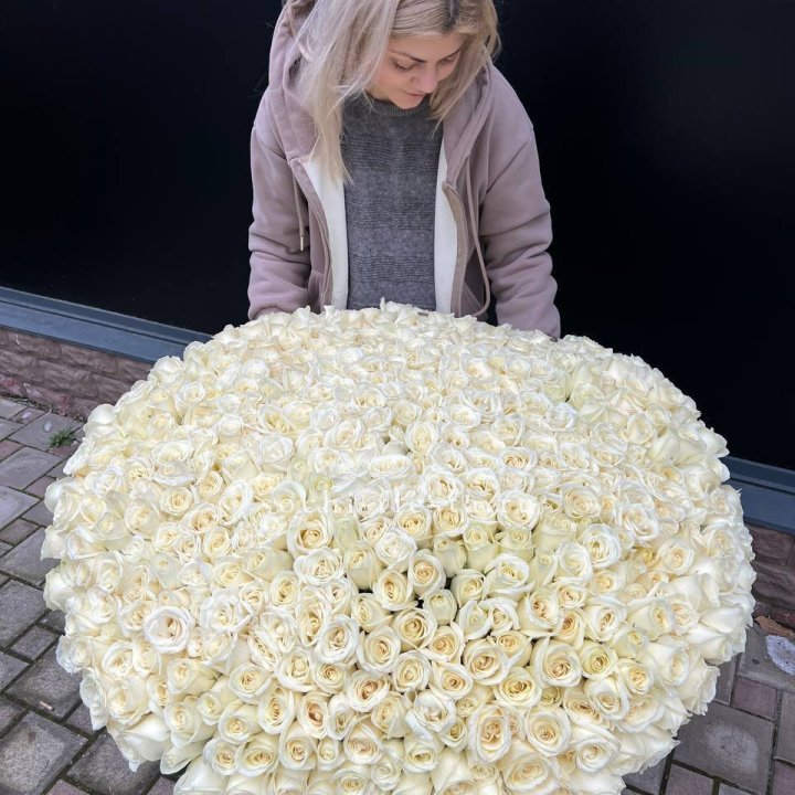 501 белая роза в корзине в Королёве