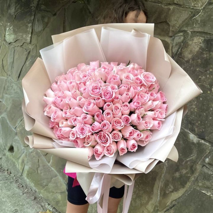 101 нежно-розовая роза Каролина  в Королёве