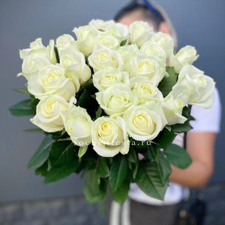 Голландские розы белые 25 в Королёве