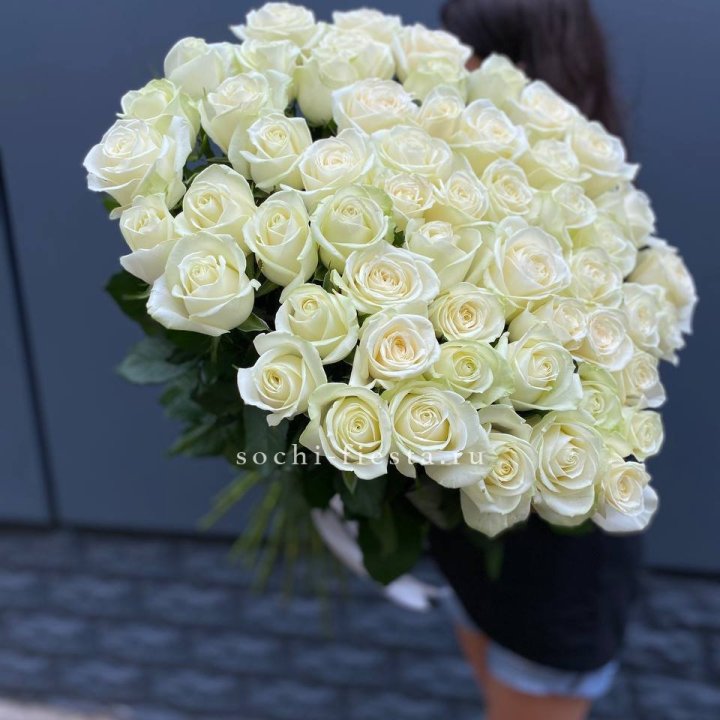 51 белоснежная высокая роза в Королёве
