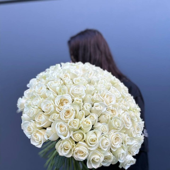Охапка из 101 белой розы  в Королёве