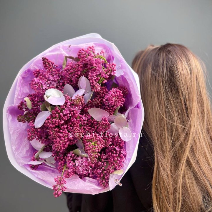 Букет сирени  в Королёве