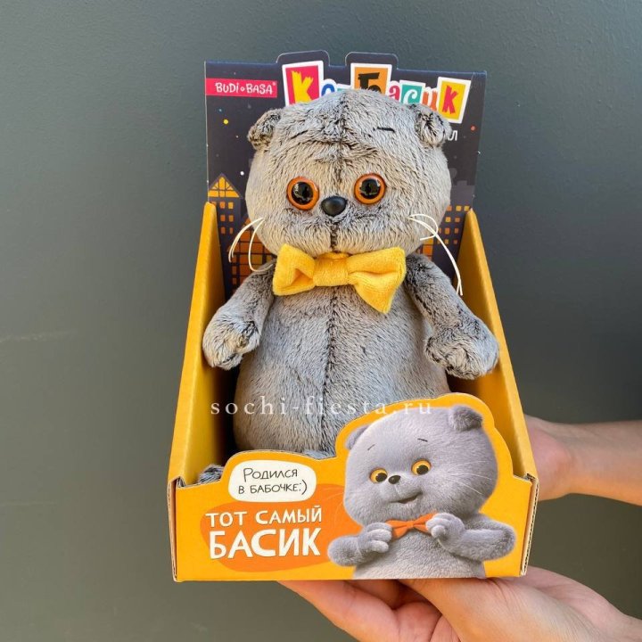 Кот Басик с бабочкой в Королёве