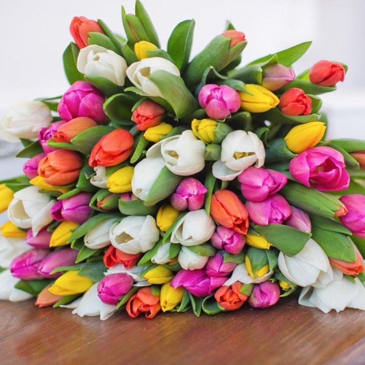 79 тюльпанов "Рандом" в Королёве