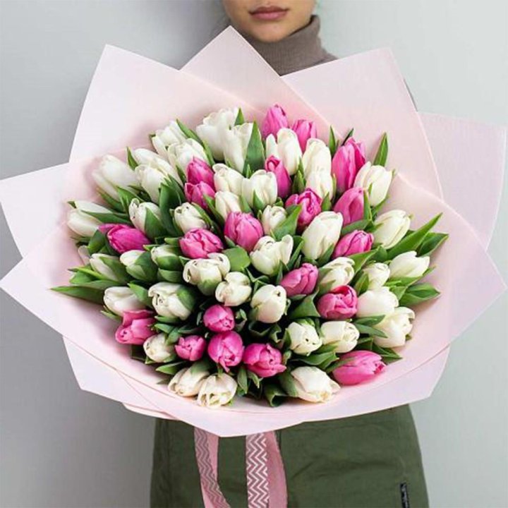 61 бело-розовый тюльпан в Королёве