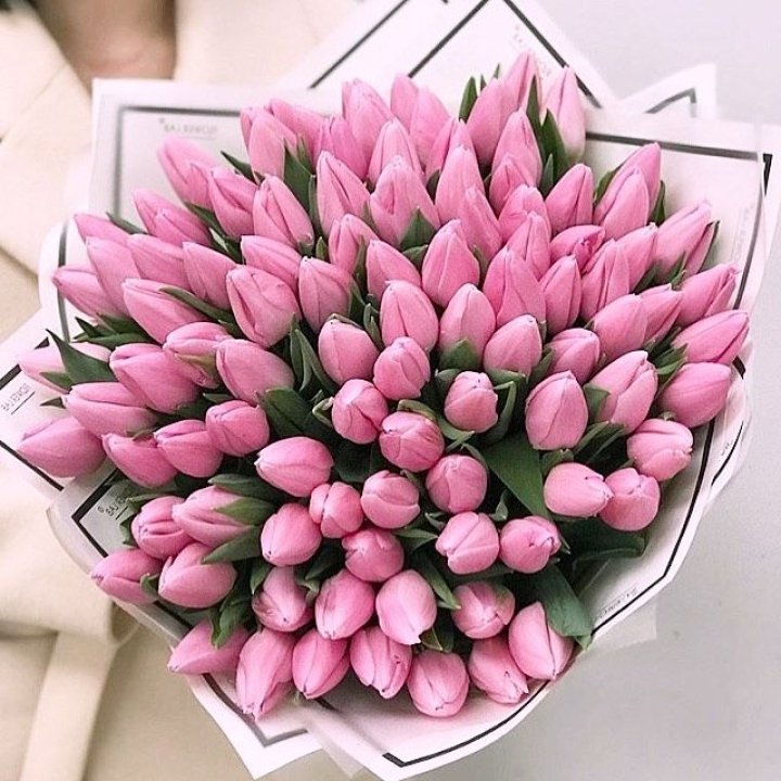 101 розовый тюльпан в белом в Королёве