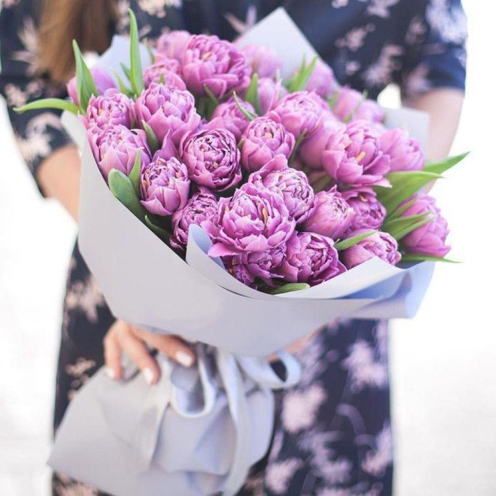 Тюльпаны "Пионс" в Королёве