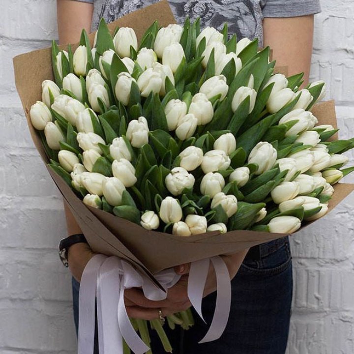 101 тюльпан сноу в Королёве