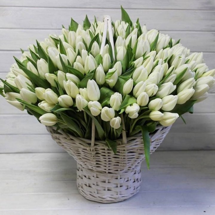 Корзина из 151 тюльпана в Королёве