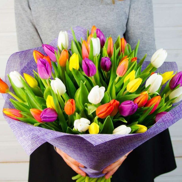 51 тюльпан "Рандом" №2 в Королёве