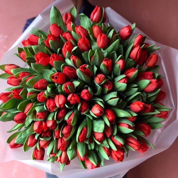 101 красный тюльпан в Королёве